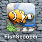 魚