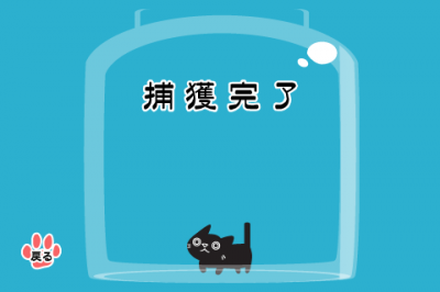 ネコ