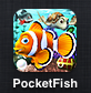 魚