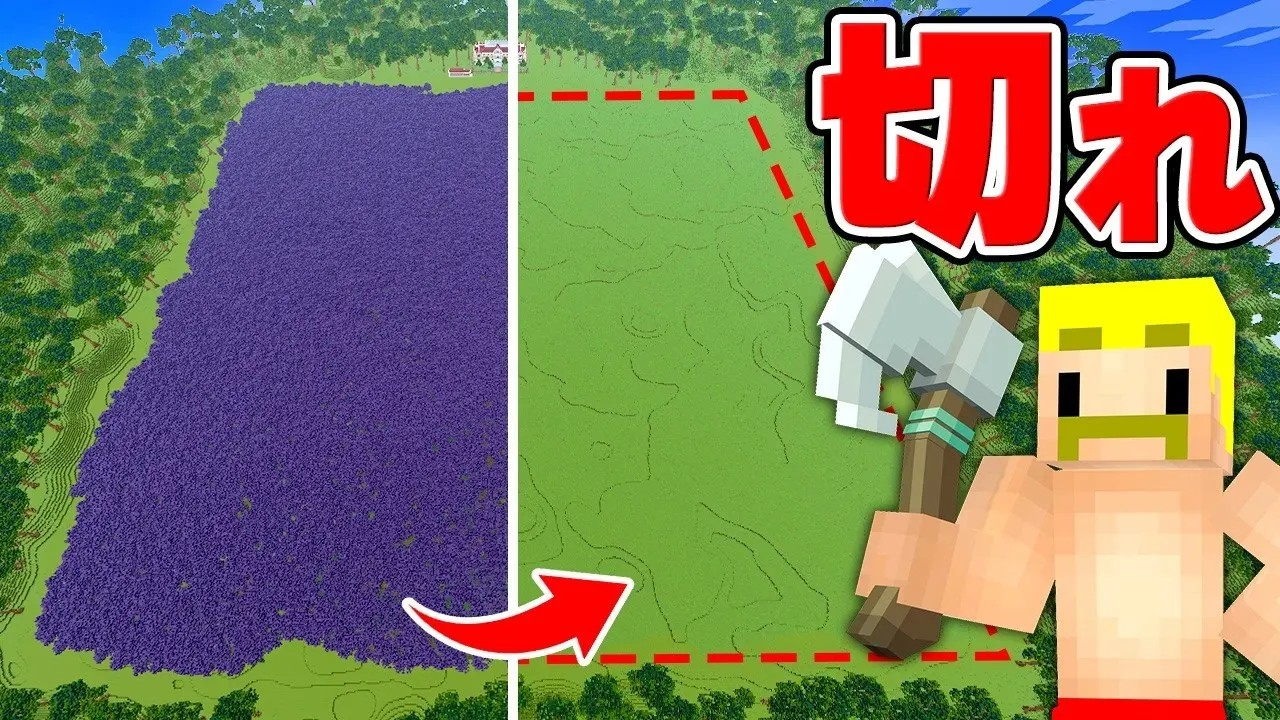ゲーム