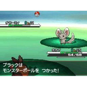 ポケットモンスターホワイト