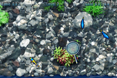 魚