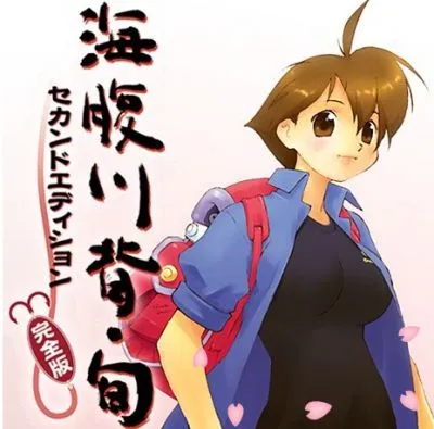 マジコン対策