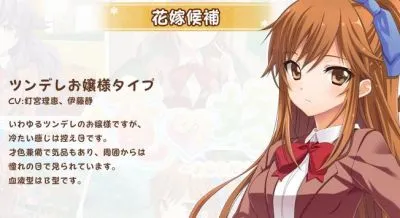 俺の嫁～あなただけの花嫁～