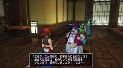 ドラゴンクエストⅩ